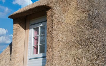 Smithstown thatch roof disadvantages