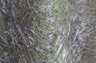 Smithstown fibreglass roof work